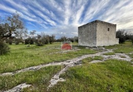 Terreni agricoli Salento